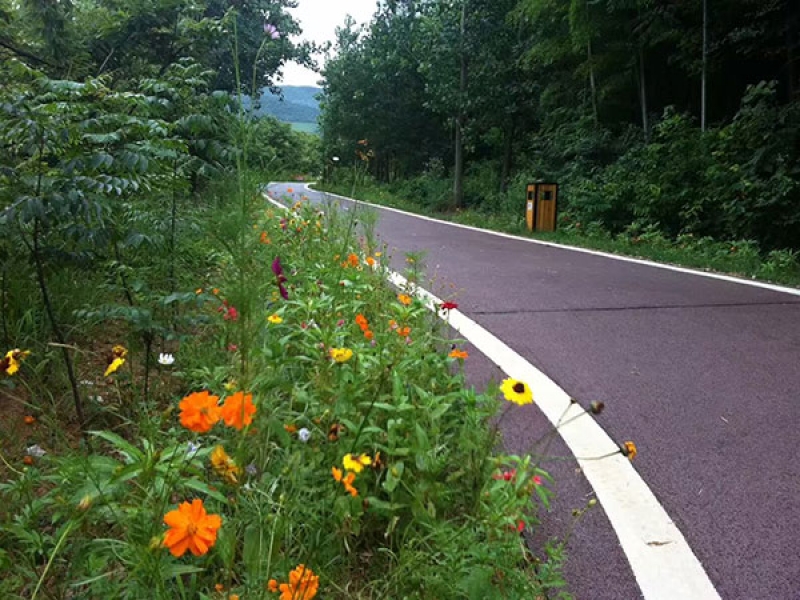 彩色透水砼道路