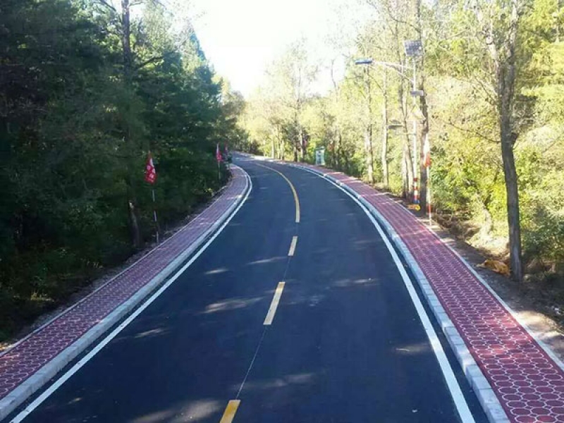 彩色透水砼道路